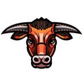 Head of powerful horned bull Royalty Free Stock Photo