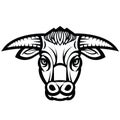 Head of powerful horned bull Royalty Free Stock Photo
