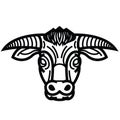 Head of powerful horned bull Royalty Free Stock Photo
