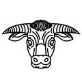 Head of powerful horned bull Royalty Free Stock Photo