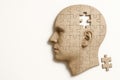 A head from a puzzle with a missing piece as a symbol of thinking. Space for text. Royalty Free Stock Photo