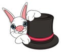 Head of rabbit with black hat Royalty Free Stock Photo