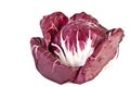 Head of radicchio salad