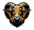 Head of ram mascot