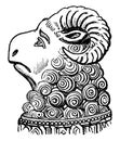 Head of Ram from the monument to Abbot Ramryge vintage engraving