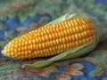 Head of raw corn Royalty Free Stock Photo