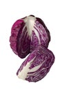Head of red cabbage Royalty Free Stock Photo