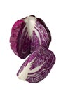 Head of red cabbage Royalty Free Stock Photo