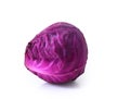 Head of red cabbage over white. Royalty Free Stock Photo