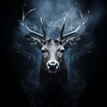 Head of a red deer with antlers in smoke and flames on black, unusual natural background, Royalty Free Stock Photo