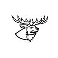 Head of a Red Deer or Cervus Elaphus Stag or Buck with Antlers Roaring Side View Mascot Black and White Royalty Free Stock Photo