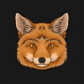 Head of red fox, face of wild animal hand drawn vector Illustration Royalty Free Stock Photo