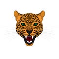 Head of roaring jaguar