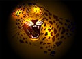 Head roaring jaguar