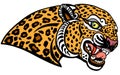 Head of a roaring leopard. Mascot. Tattoo Royalty Free Stock Photo