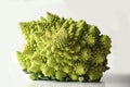 Head of a romanesco cauliflower or romanesque broccoli Brassica Oleracea, Botrytis cultivar.