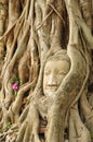 The head of the sandstone buddha