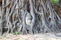 The Head of The Sandstone Buddha image in tree roots at Wat Mahathat, Ayutthaya, Thailand Royalty Free Stock Photo