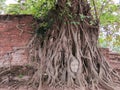 The head of the sandstone buddha in tree roots , Ayutthaya, Thailand