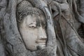 Head of sandstone buddha in the tree roots at wat mahathat temple, Ayutthaya Historical Park, Thailand Royalty Free Stock Photo