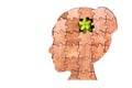 Head-shaped jigsaw puzzle with a young plant inside Royalty Free Stock Photo