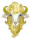 Head sheep