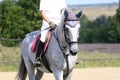 Head shot close up of a beautiful young sport horse during compe