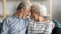 Affectionate family couple enjoying sweet tender moment at home. Royalty Free Stock Photo