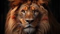 Head shot of a male lion. Generative AI Royalty Free Stock Photo