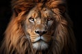 Head shot of a male lion. Generative AI Royalty Free Stock Photo