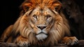 Head shot of a male lion. Generative AI Royalty Free Stock Photo