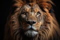 Head shot of a male lion. Generative AI Royalty Free Stock Photo