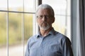 Head shot portrait grey haired senior confident man wearing glasses