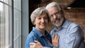 Head shot portrait smiling mature couple hugging, looking at camera Royalty Free Stock Photo