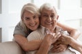 Head shot portrait smiling older wife and husband hugging Royalty Free Stock Photo