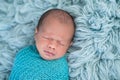 Swaddled, Sleeping, Newborn Baby Boy Royalty Free Stock Photo