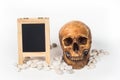 Head skull black board