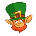 Head of a smiling leprechaun, the symbol of St. Patrick's day. Vector illustration