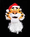 The head of a soft plush tiger in a red santa claus hat with a beard on a black background. Christmas and new year 2022 concept, Royalty Free Stock Photo