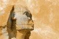 Head Sphinx egyptian aquarelle grunge background Royalty Free Stock Photo