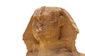 Head of Sphinx in Giza isolated on white Royalty Free Stock Photo