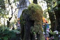 Head of a statue of a mossy elephant in front of a hindu temple