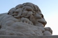 Head of stone lion Royalty Free Stock Photo