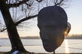 Head at sunset, Idroscalo, Milan Royalty Free Stock Photo