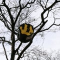 Head of a three pronged plug appears in juxtaposition where it appears to be a limb of a tree