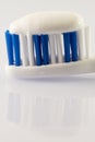 Head Toothbrush with toothpaste close up Royalty Free Stock Photo