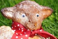 Head of traditional Easter hare - bisquit cake from Moravia Royalty Free Stock Photo