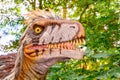 Head of the Utharaptor dinosaur Royalty Free Stock Photo