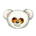 Head of white plush teddy bear in sunglasses