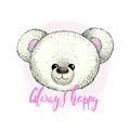 Head of white plush teddy bear, vector image